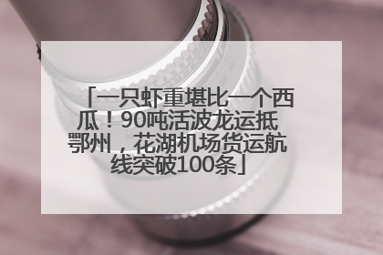 一只虾重堪比一个西瓜！90吨活波龙运抵鄂州，花湖机场货运航线突破100条