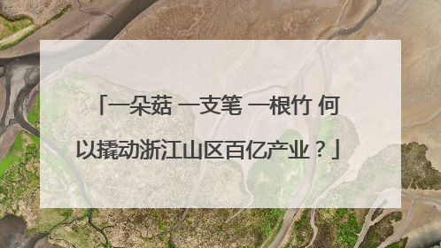 一朵菇 一支笔 一根竹 何以撬动浙江山区百亿产业？