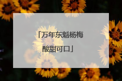万年东魁杨梅 酸甜可口