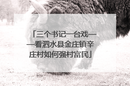 三个书记一台戏——看泗水县金庄镇辛庄村如何强村富民