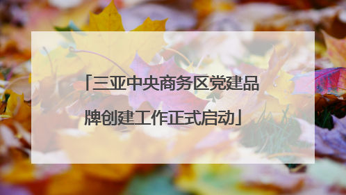 三亚中央商务区党建品牌创建工作正式启动