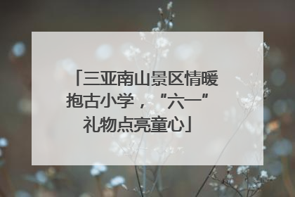 三亚南山景区情暖抱古小学，“六一”礼物点亮童心