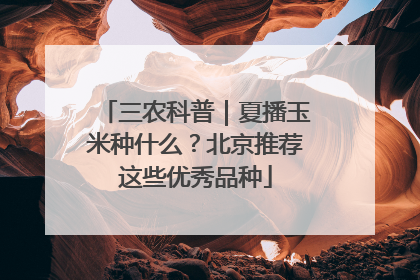 三农科普｜夏播玉米种什么？北京推荐这些优秀品种