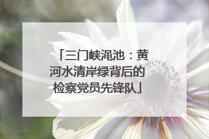 三门峡渑池：黄河水清岸绿背后的检察党员先锋队