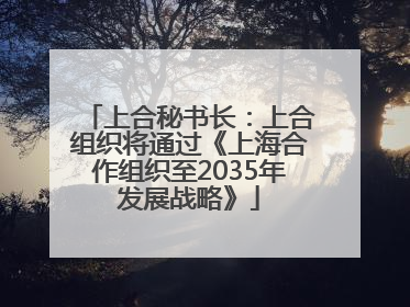 上合秘书长：上合组织将通过《上海合作组织至2035年发展战略》