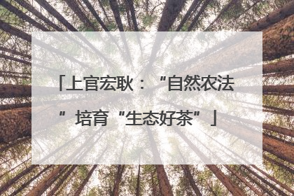 上官宏耿：“自然农法”培育“生态好茶”