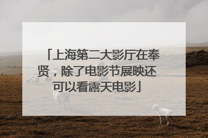 上海第二大影厅在奉贤，除了电影节展映还可以看露天电影