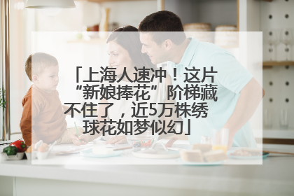 上海人速冲！这片“新娘捧花”阶梯藏不住了，近5万株绣球花如梦似幻