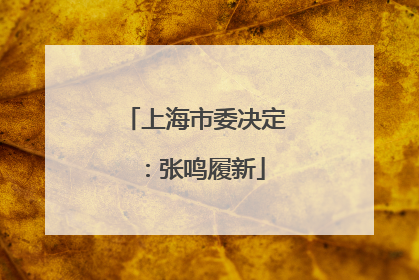 上海市委决定：张鸣履新