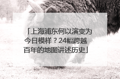 上海浦东何以演变为今日模样?24幅跨越百年的地图讲述历史