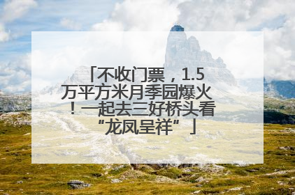 不收门票，1.5万平方米月季园爆火！一起去三好桥头看“龙凤呈祥”