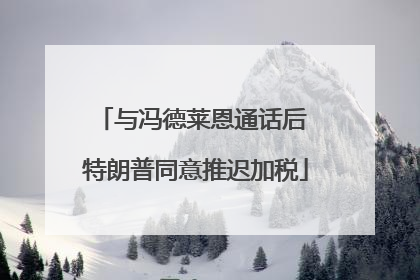与冯德莱恩通话后 特朗普同意推迟加税