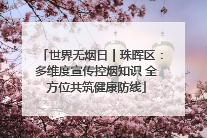 世界无烟日｜珠晖区：多维度宣传控烟知识 全方位共筑健康防线