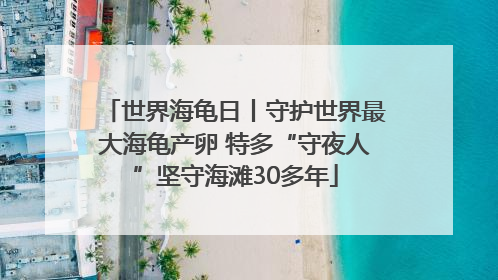 世界海龟日丨守护世界最大海龟产卵 特多“守夜人”坚守海滩30多年