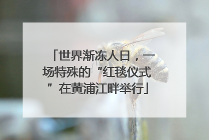 世界渐冻人日，一场特殊的“红毯仪式”在黄浦江畔举行