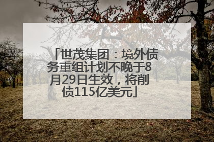 世茂集团：境外债务重组计划不晚于8月29日生效，将削债115亿美元