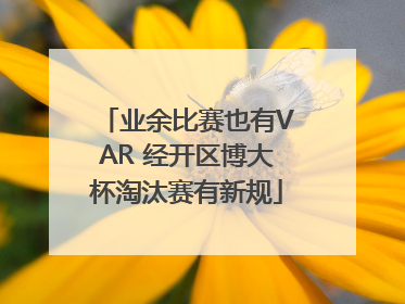 业余比赛也有VAR 经开区博大杯淘汰赛有新规