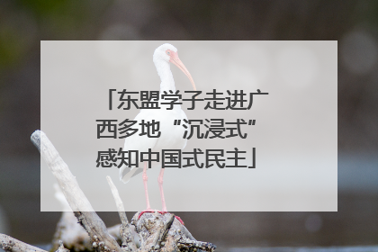 东盟学子走进广西多地“沉浸式”感知中国式民主