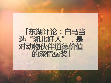 东湖评论：白马当选“湖北好人”，是对动物伙伴道德价值的深情褒奖