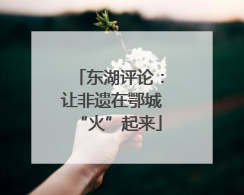东湖评论：让非遗在鄂城“火”起来
