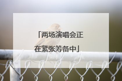 两场演唱会正在紧张筹备中
