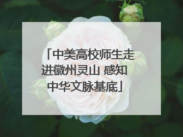 中美高校师生走进徽州灵山 感知中华文脉基底