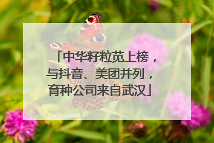 中华籽粒苋上榜，与抖音、美团并列，育种公司来自武汉