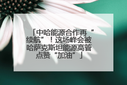 中哈能源合作再“续航”！这场峰会被哈萨克斯坦能源高管点赞“加油”