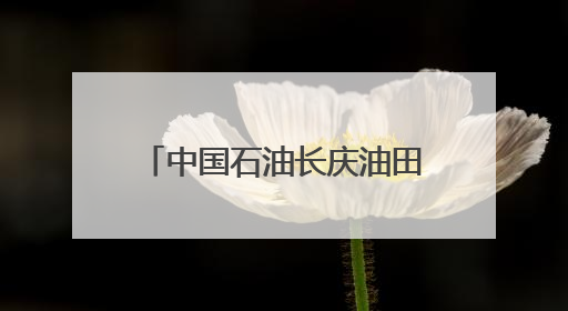 中国石油长庆油田采油十厂绘就“幸福华庆”民生新画卷