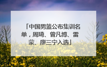 中国男篮公布集训名单，周琦、曾凡博、雷蒙、廖三宁入选