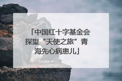 中国红十字基金会探望“天使之旅”青海先心病患儿