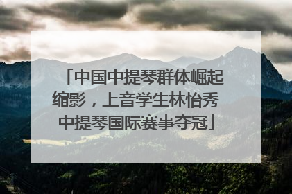 中国中提琴群体崛起缩影，上音学生林怡秀中提琴国际赛事夺冠