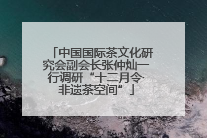中国国际茶文化研究会副会长张仲灿一行调研“十二月令·非遗茶空间”