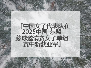 中国女子代表队在2025中国-东盟藤球邀请赛女子单组赛中斩获亚军