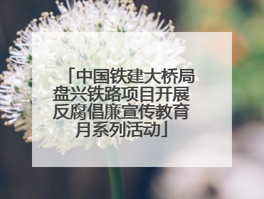 中国铁建大桥局盘兴铁路项目开展反腐倡廉宣传教育月系列活动