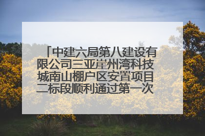 中建六局第八建设有限公司三亚崖州湾科技城南山棚户区安置项目二标段顺利通过第一次主体结构验收