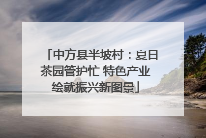 中方县半坡村：夏日茶园管护忙 特色产业绘就振兴新图景