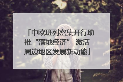 中欧班列密集开行助推“落地经济” 激活周边地区发展新动能