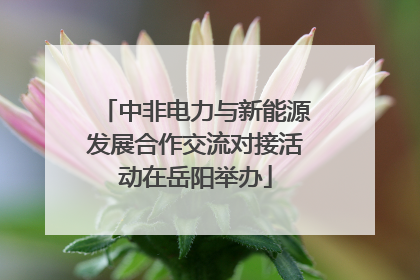中非电力与新能源发展合作交流对接活动在岳阳举办