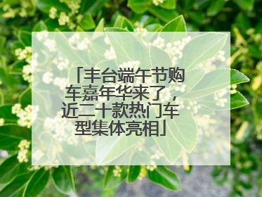 丰台端午节购车嘉年华来了，近二十款热门车型集体亮相