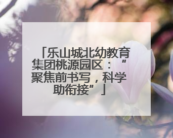 乐山城北幼教育集团桃源园区：“聚焦前书写，科学助衔接”