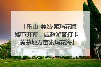 乐山-美姑·索玛花嗨购节开幕，诚邀游客打卡黄茅埂万亩索玛花海