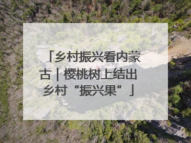 乡村振兴看内蒙古｜樱桃树上结出乡村“振兴果”
