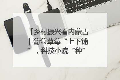 乡村振兴看内蒙古｜葡萄草莓“上下铺”，科技小院“种”出三倍效益