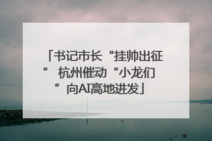 书记市长“挂帅出征” 杭州催动“小龙们”向AI高地进发
