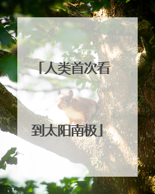 人类首次看到太阳南极