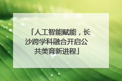人工智能赋能，长沙跨学科融合开启公共美育新进程