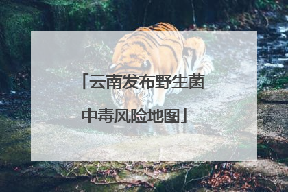 云南发布野生菌中毒风险地图