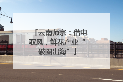 云南师宗：借电驭风，鲜花产业“破圈出海”