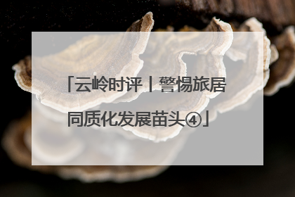 云岭时评丨警惕旅居同质化发展苗头④
